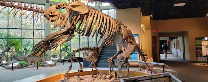 Mississippi Museum of Natural Science