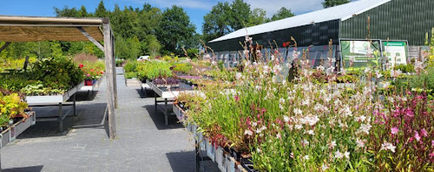 Vreugdenhil - Mooimakers voor uw tuin