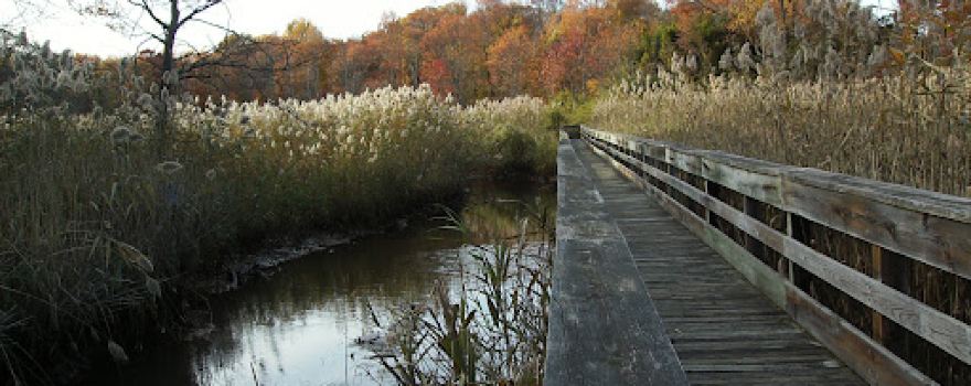 Little Silver Nature Trail