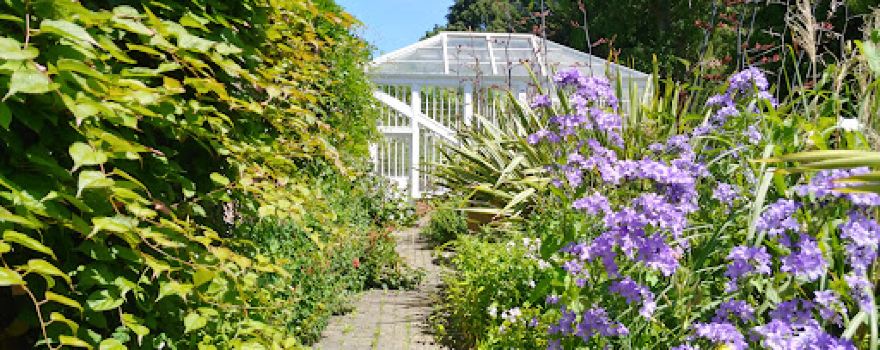 The Naissance Experience at Glansevern Hall Gardens