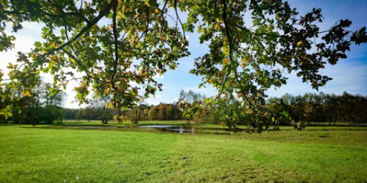 Vlonderpad Landgoed Tongeren