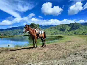 Communal Ranch
