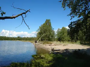 Stornäset