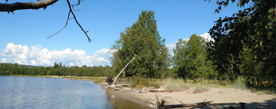 Stornäset
