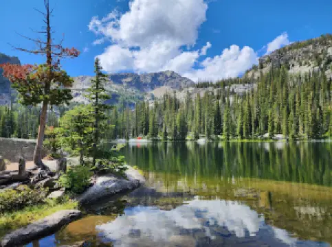 셀웨이-비터루트 와일더네스