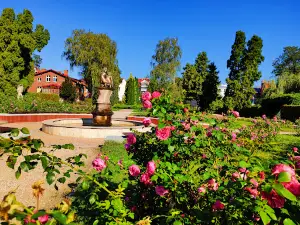 Park Rose Garden