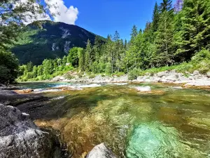 Kamp Soča