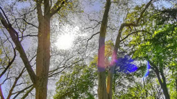 Volksgarten Eickel