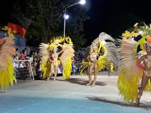 Psicosis disco
