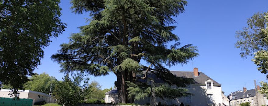 Parc de la Corbillière