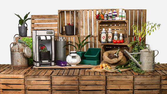 Growee - Online Growshop Linz - Österreich - Hanf-Zierpflanzen