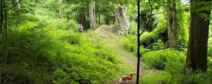 Tyringham Cobble Park