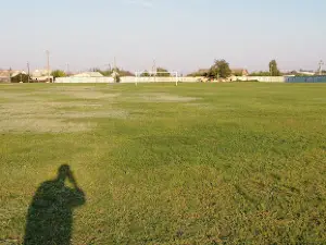 Stadion