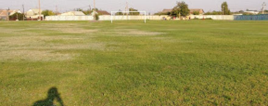 Stadion