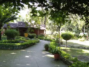 Tau Devi Lal Herbal Natural Park, Khizrabad