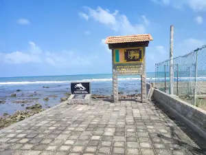 Sakkotei Cape - North Point of Sri Lanka (Point Pedro)