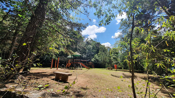 Municipal Park Juarez Frotté