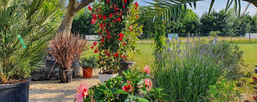 STAND VEGETAL - entretien de jardin - élagage/abattage - tonte/débroussaillage