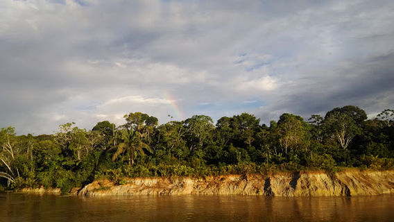 Ecological Station Jutaí - Solimões