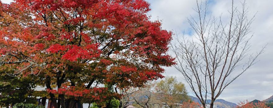Mogamikyo Basho Line Tourism Co., Ltd.Head office.