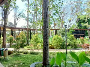 Taman Geopark Merangin