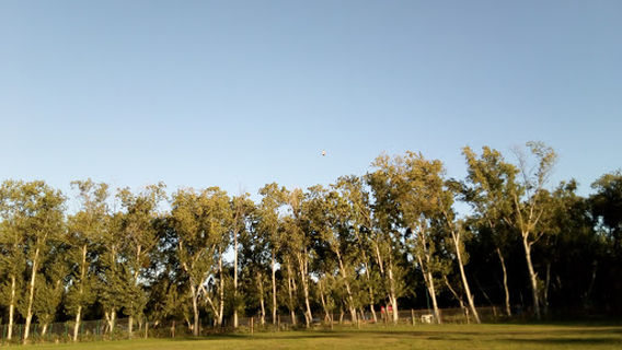 Isla de Maipo