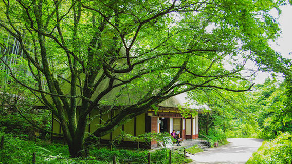 Hirahara Falls