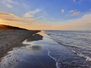 Dune Park and Camping Robbenjager
