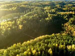 Kačėniškės piliakalnio pažintinis takas