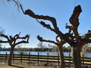 Parc del Riu