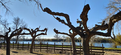 Parc del Riu
