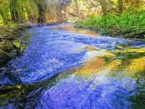 วัดใหม่โพธารามด่านชุมพล