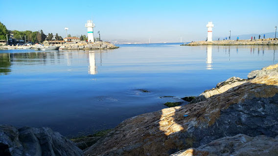 Darica