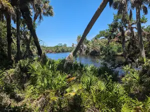 Peace River Airboat Tours & Charters