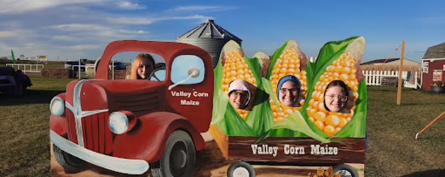 Valley Corn Maize