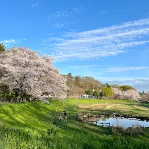 武蔵野公園