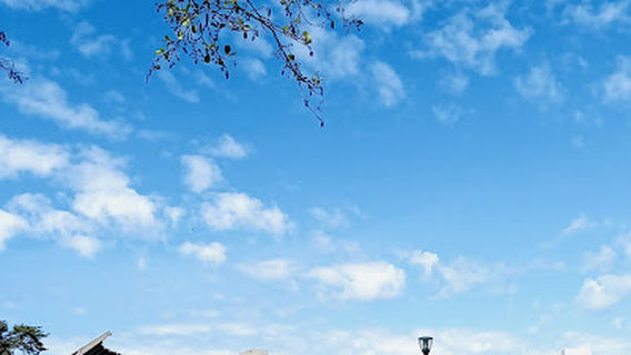 Vasaros Koncertu Estrada