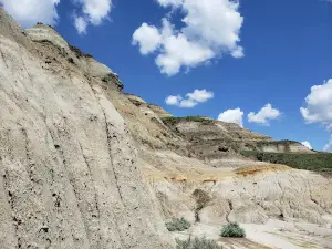 Cottonwood Campground