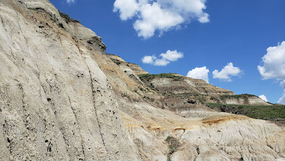 Cottonwood Campground