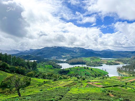 Tea Park