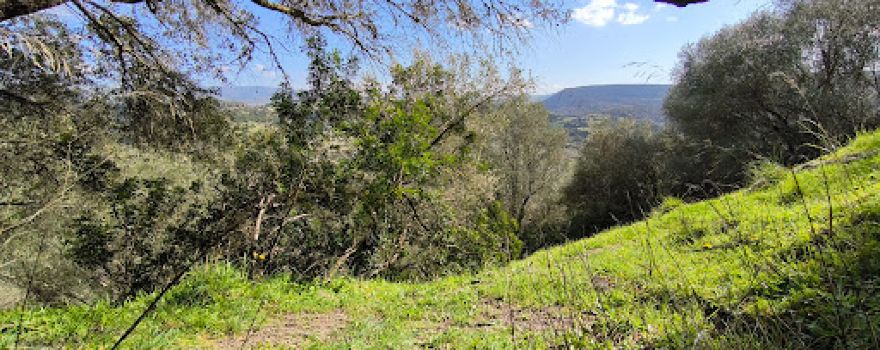 Domus de janas di Monte Airadu