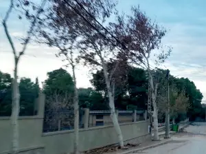 Mosquée El Houda