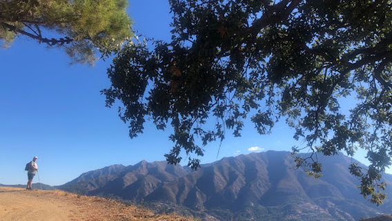 Castaño Santo, Istán (Rincón Singular)