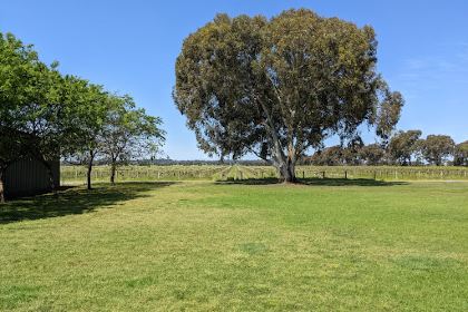 The Pavilion Restaurant at Buller Wines