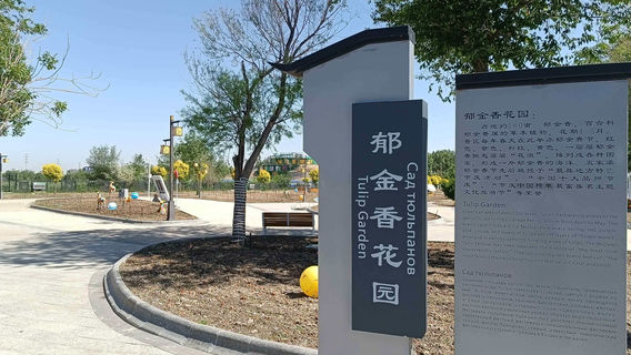 Wujiaqu