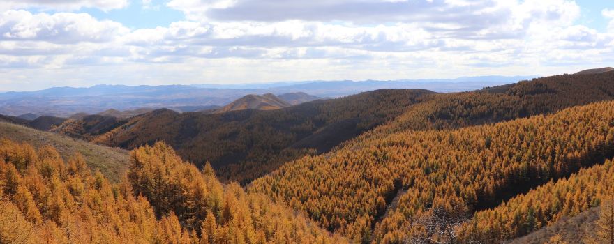 Daqingshan National Forest Park