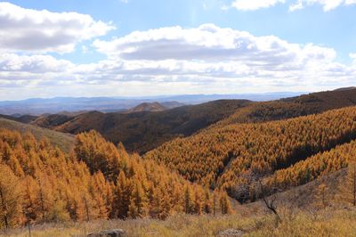 Daqingshan National Forest Park