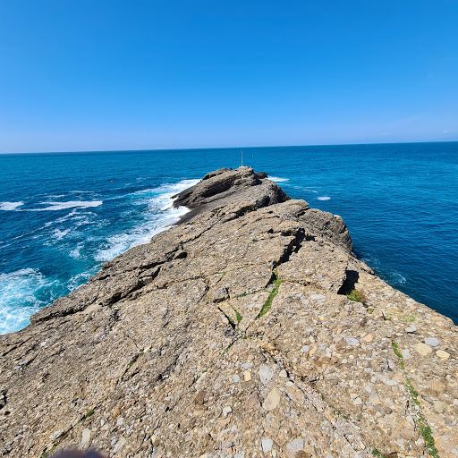 Punta Chiappa Batteries