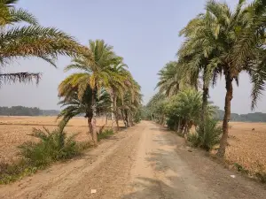 Zilla Shishu Academy,Satkhira.