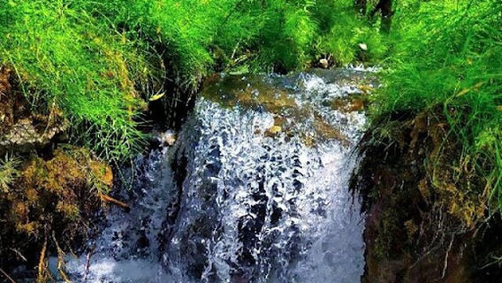 Qashqadaryo kitob Kuhsor MFY Javz qishlog'i